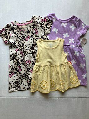 3T Garanimals Butterfly & Character Short Sleeve Dress + Wonder Nation Tank